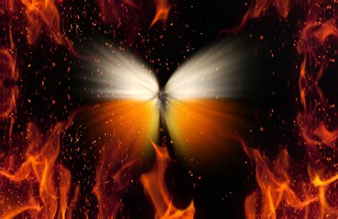 3 Butterflies Blaze