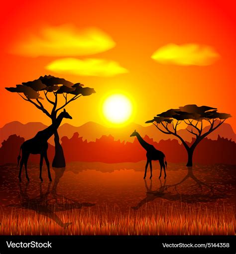 African Sunset 2 Bet365