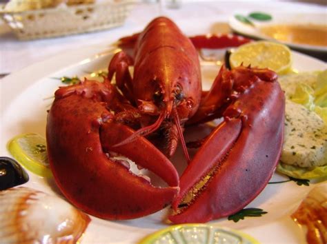 Agostinho Casino Tudo O Que Voce Pode Comer Lagosta