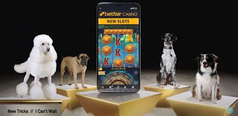 Angry Dogs Betfair