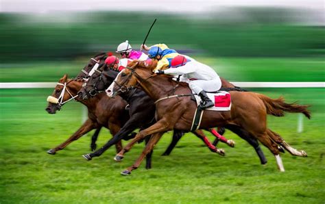 Apostas Em Corridas De Cavalos Caxias Do Sul