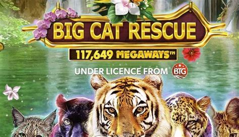 Big Cat Rescue Megaways Betsul