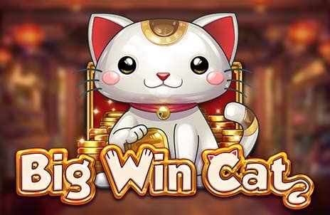 Big Win Cat Novibet
