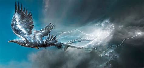 Bird Of Thunder Betsul