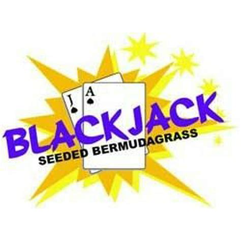 Blackjack Bermuda Semente