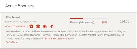 Bodog Player Could Not Access Her Account