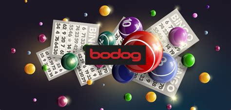 Bonus Bingo Bodog