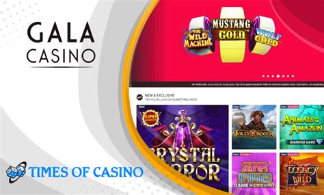 Bonus Bingo Casino Ecuador