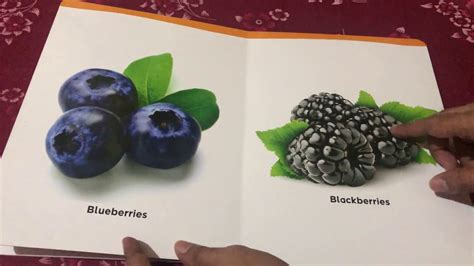 Book Of Fruits Review 2024