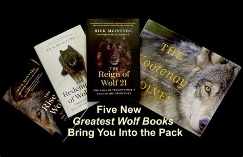 Book Of Wolves Betfair
