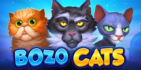 Bozo Cats 1xbet