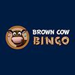 Brown Cow Bingo Casino Apostas