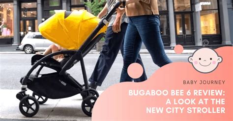 Bugaboo Review 2024