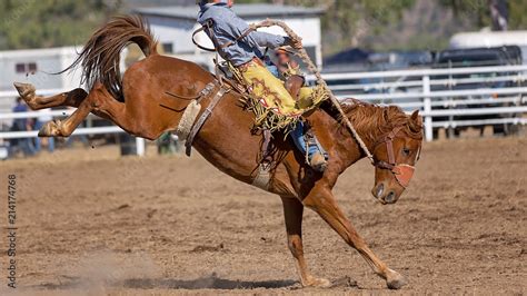 Bunkin Broncos Sportingbet