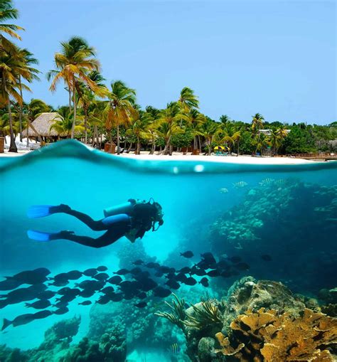 Caribbean Diver Betway