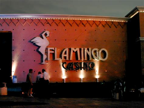 Casino Flamingo Merlo San Luis
