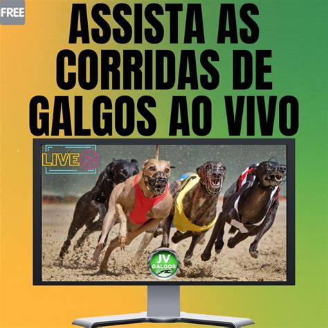 Casino Galgos Ao Vivo