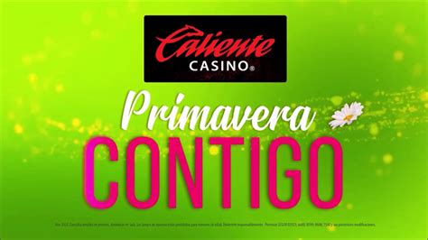 Casino Primavera Pharr Tx