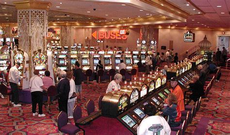 Casino Tsunami