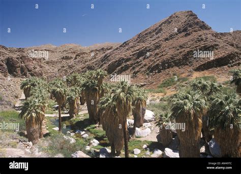 Cassinos Indigenas Perto De Palm Springs Na California