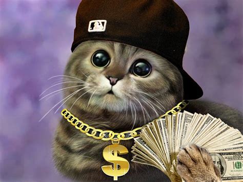 Cat Gangster Betway