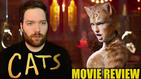 Cats Review 2024
