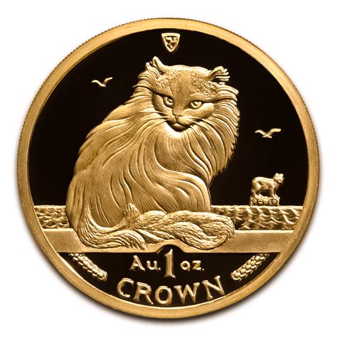 Coin Cat Bodog