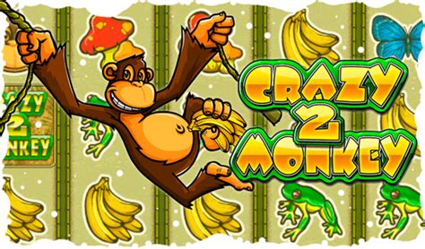 Crazy Monkey 2 Bodog