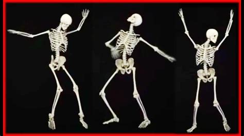 Dancing Bones Brabet