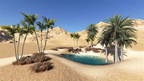 Desert Oasis Parimatch