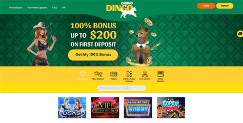 Dingo Casino Apostas