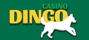 Dingo Casino Brazil