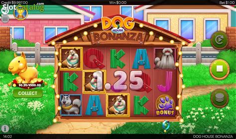 Dog House Bonanza Netbet