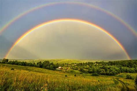 Double Rainbow Betsul