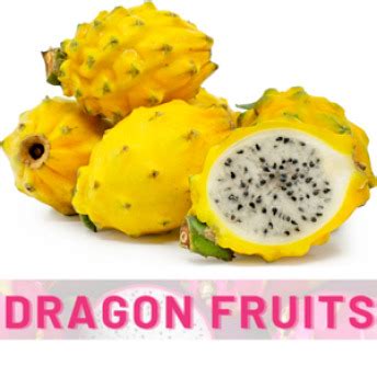 Dragon Fruit Review 2024