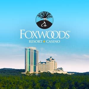 Foxwoods Poker Torneio De Agosto De 2024