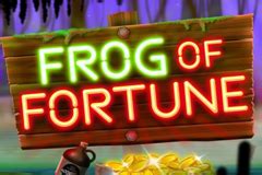 Frog Of Fortune Netbet