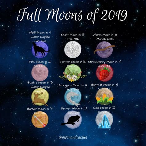 Full Moon Magic Review 2024