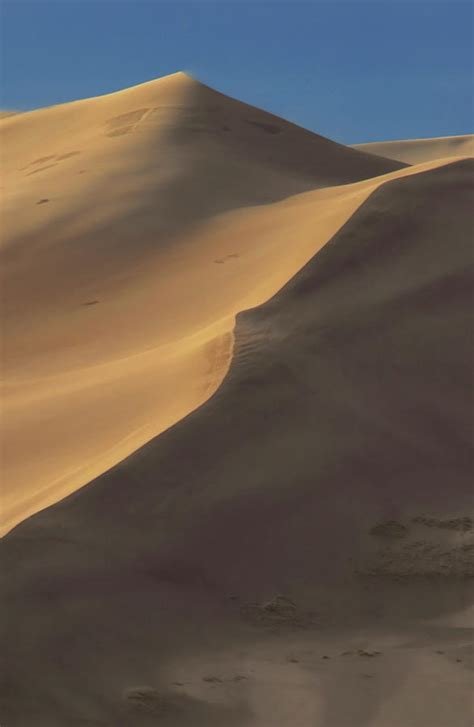 Golden Dunes Brabet