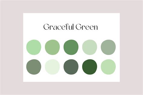 Graceful Green Brabet