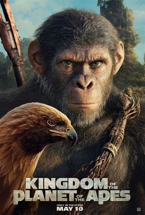 Great Apes Review 2024