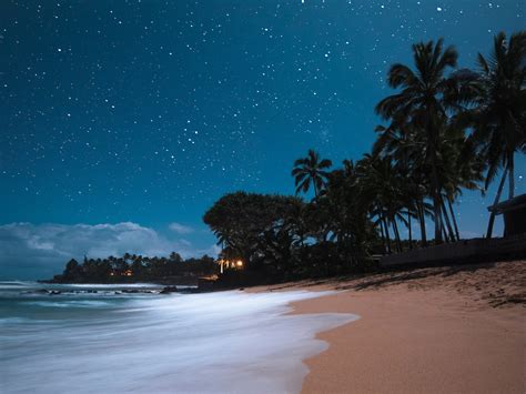 Hawaiian Night Betsul