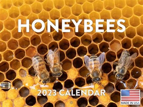 Honey Bees Review 2024