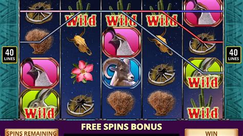 Howl Casino Bonus