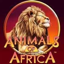 Jogar Animals Of Africa No Modo Demo