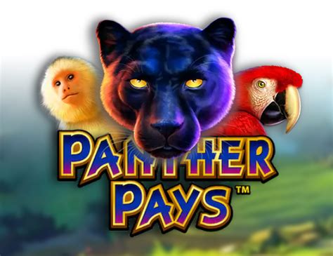 Jogar Panther Pays No Modo Demo