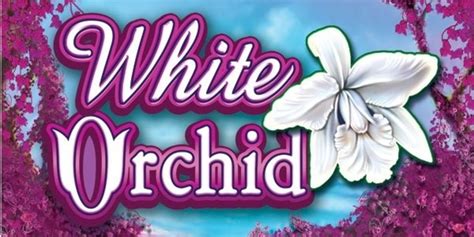 Jogar White Orchid No Modo Demo