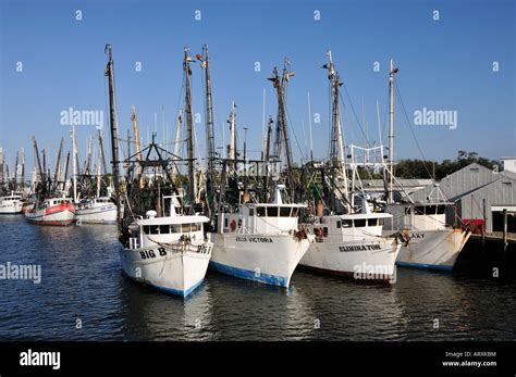 Jogo De Barco Ft Myers Na Florida