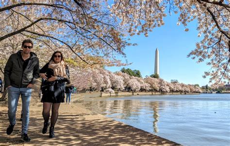 Jogo Idade Em Washington Dc