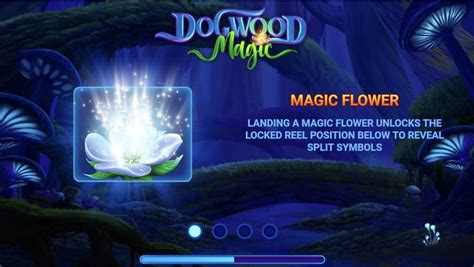Jogue Dogwood Magic Online